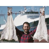 LIPORFIR integra vídeo do Turismo Centro de Portugal